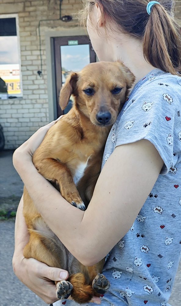 Biedrības pārstāve tur rokās izglābtu sunīti